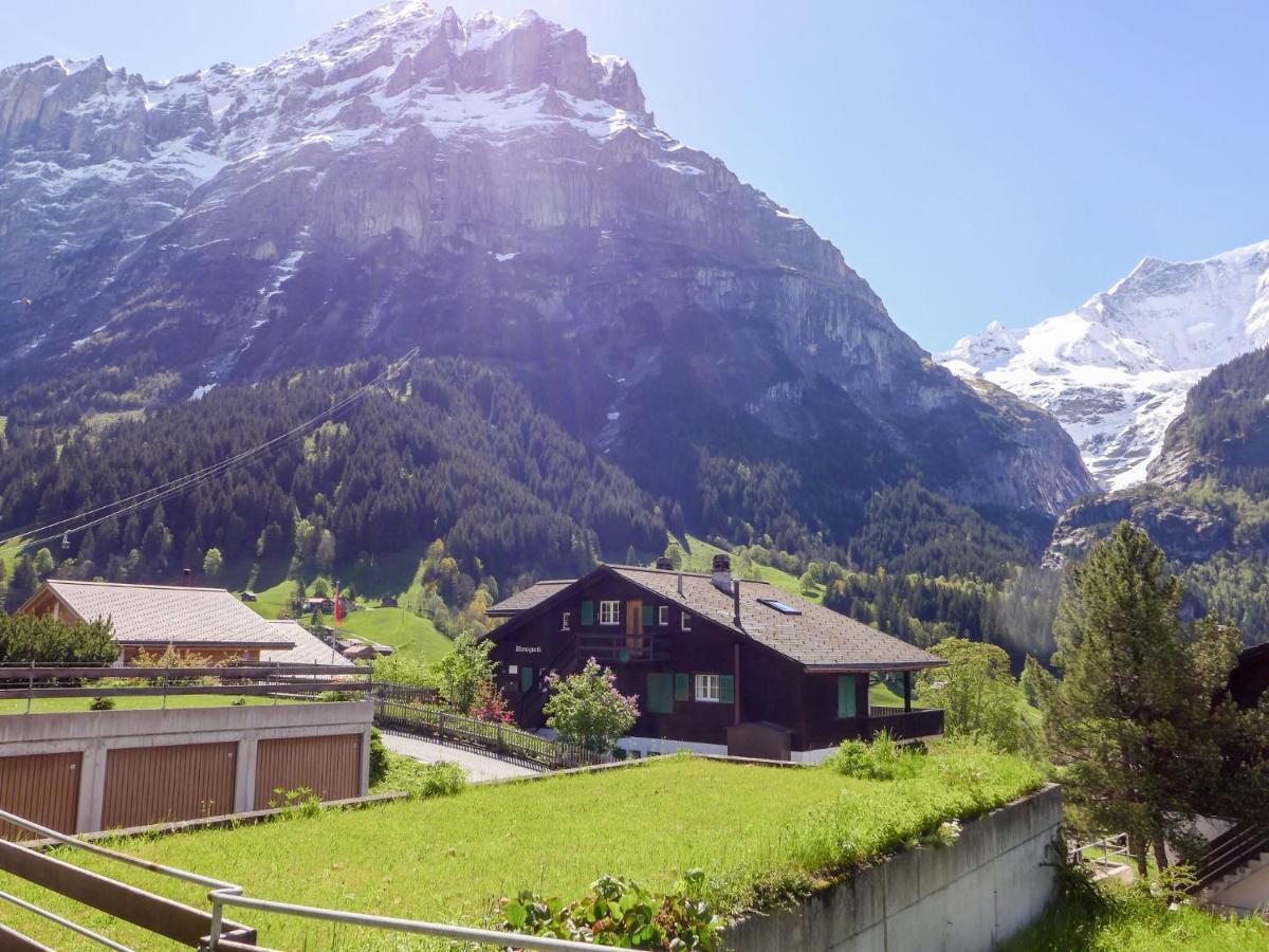 Apartment Chalet Almis-Boedeli-1 By Interhome Grindelwald Luaran gambar